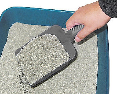 Pelle pour litière 28 cm carte-49493