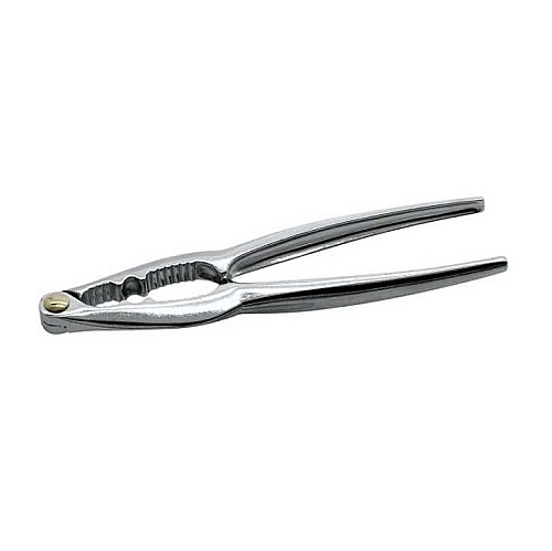 Casse noix  16 Cm-48201