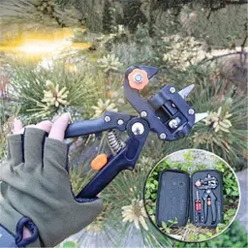 Professional Garden t