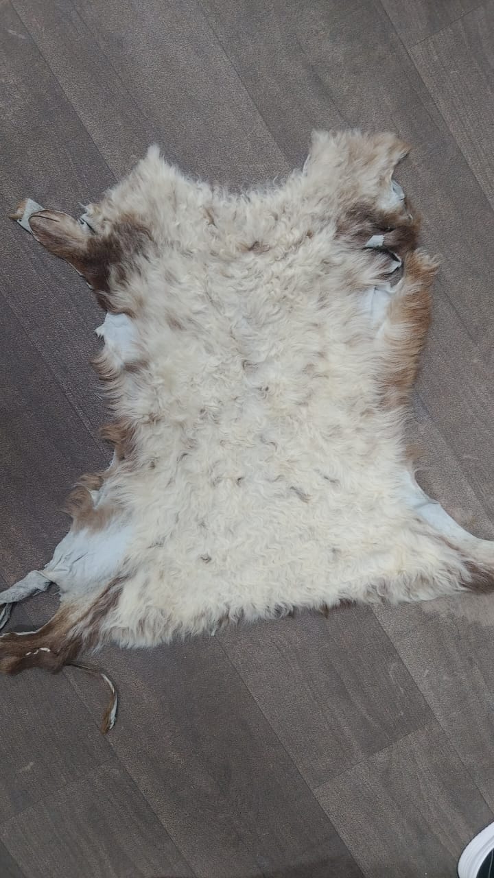 Tapis en Peau de chèvre,naturel