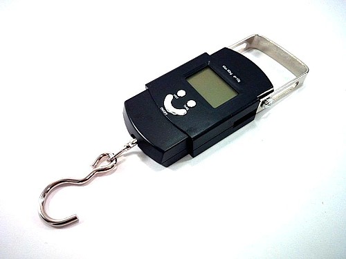 Electronic Portable scale