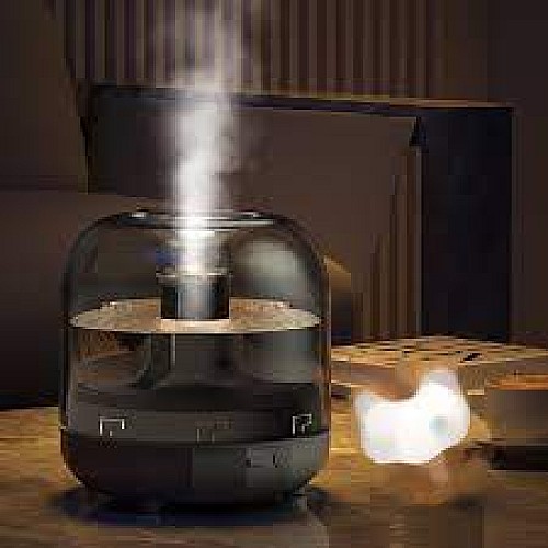 Artist Humidifier Mute