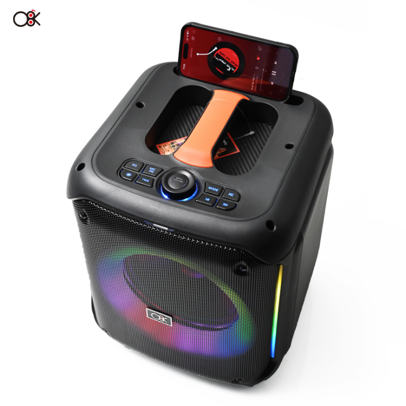 Speaker ZQS 40W Avec Micro sans fil