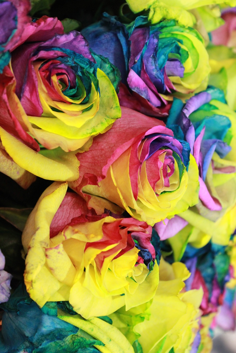 Pack 2 Tableaux dart Colors - Nature - Bois MDF - 60x40 cm