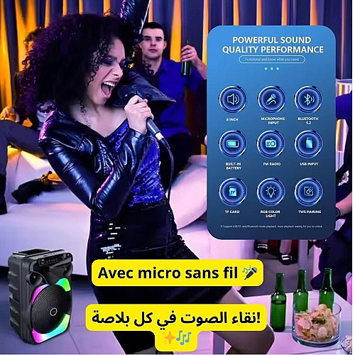 Enceinte Bluetooth karaoaké Portable
