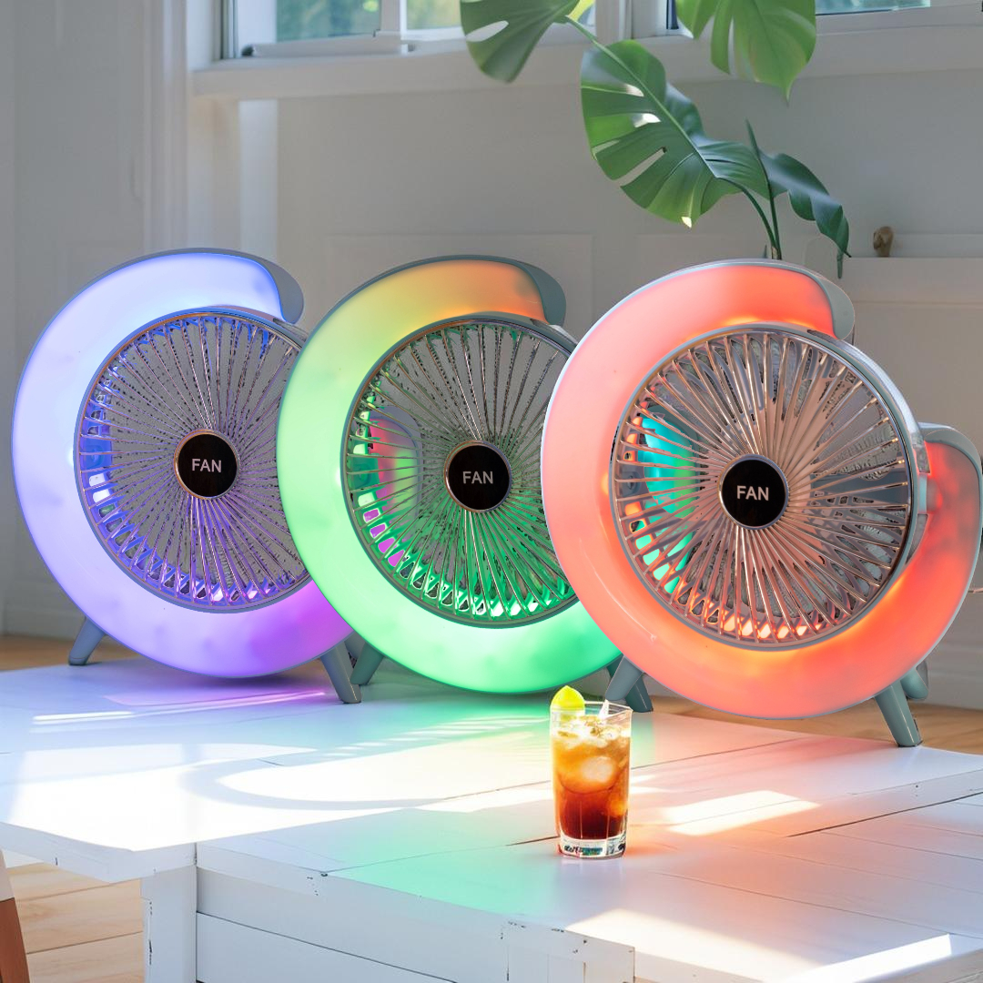 Ventilateur de Bureau FAN 24 CM
