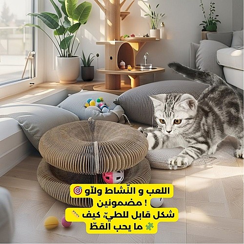 Planche à gratter pour chat