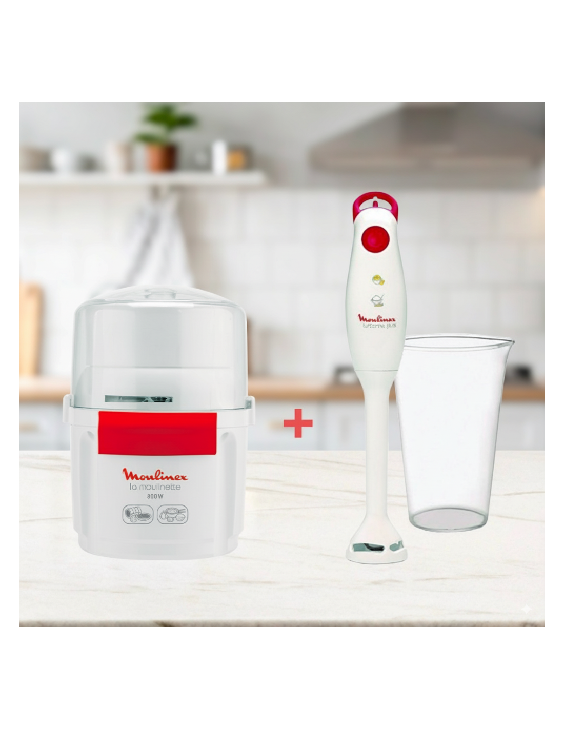 Pack Moulinette + Pied Mixeur 800W