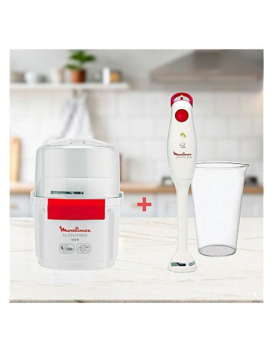 Pack Moulinette + Pied Mixeur