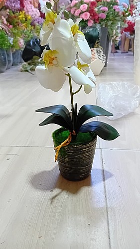 Orchidée Artificielle en Pot
