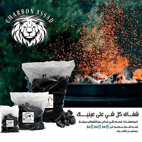 Charbon ASSAD Barbecue - 5kg