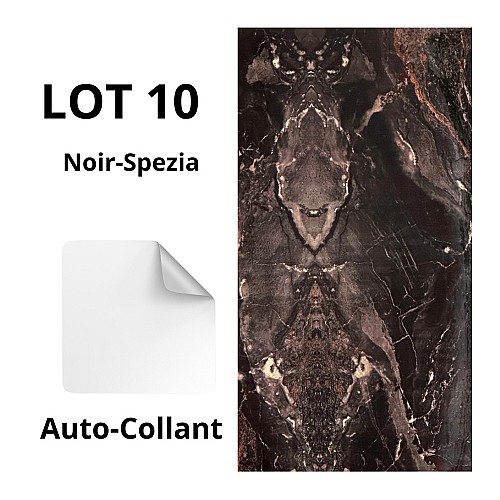 10 Panneaux muraux autocollants - Carreaux Marbré NERO SPEZIA - 30cmx60cm بديل الرخام