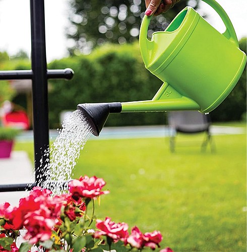 Arrosoir en Plastique - Pour intérieur ou extérieur - 6L