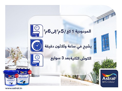ASTRALATEX 23KG MAT SURFACEUR ASTRAL TUNISIE