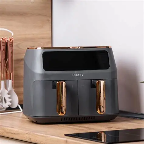 Friteuse Sans Huile FLORENCE SKZG-8030 10L - Noir