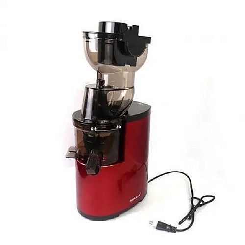 Extracteur De Jus 300W JE-25
