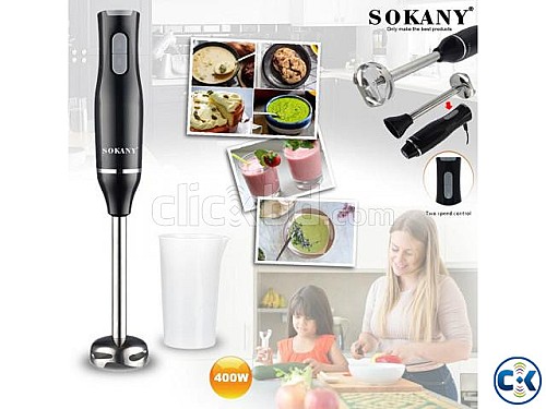 Mixeur plongeant Sokany